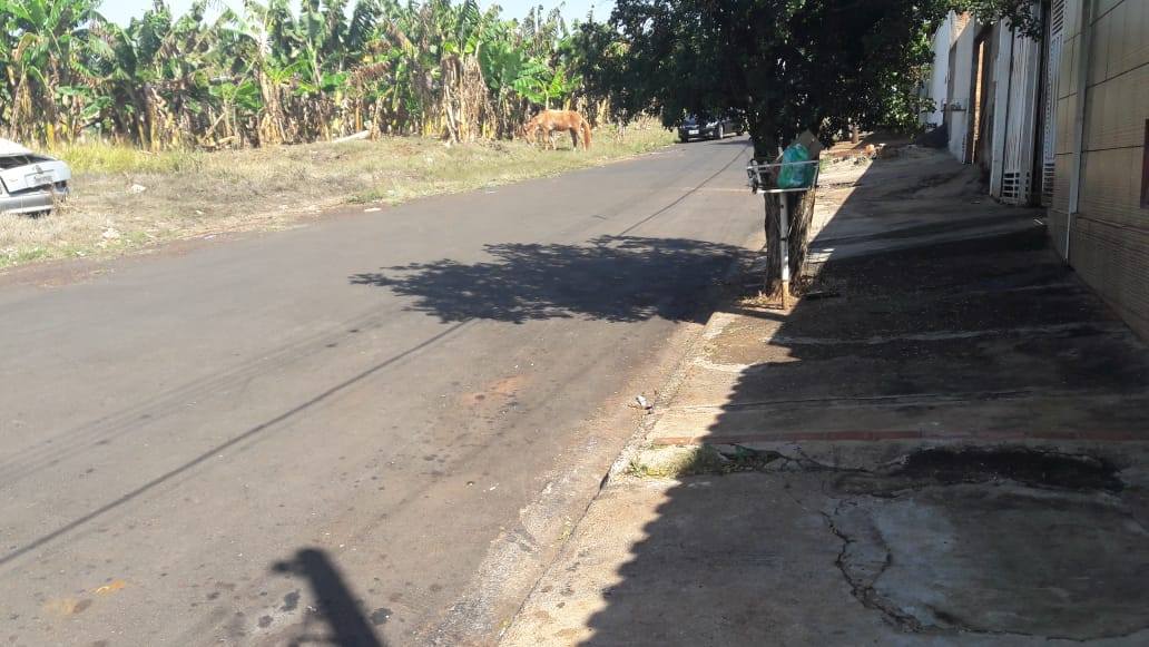 Intransitável por anos, avenida do Jardim Santa Clara é recapeada