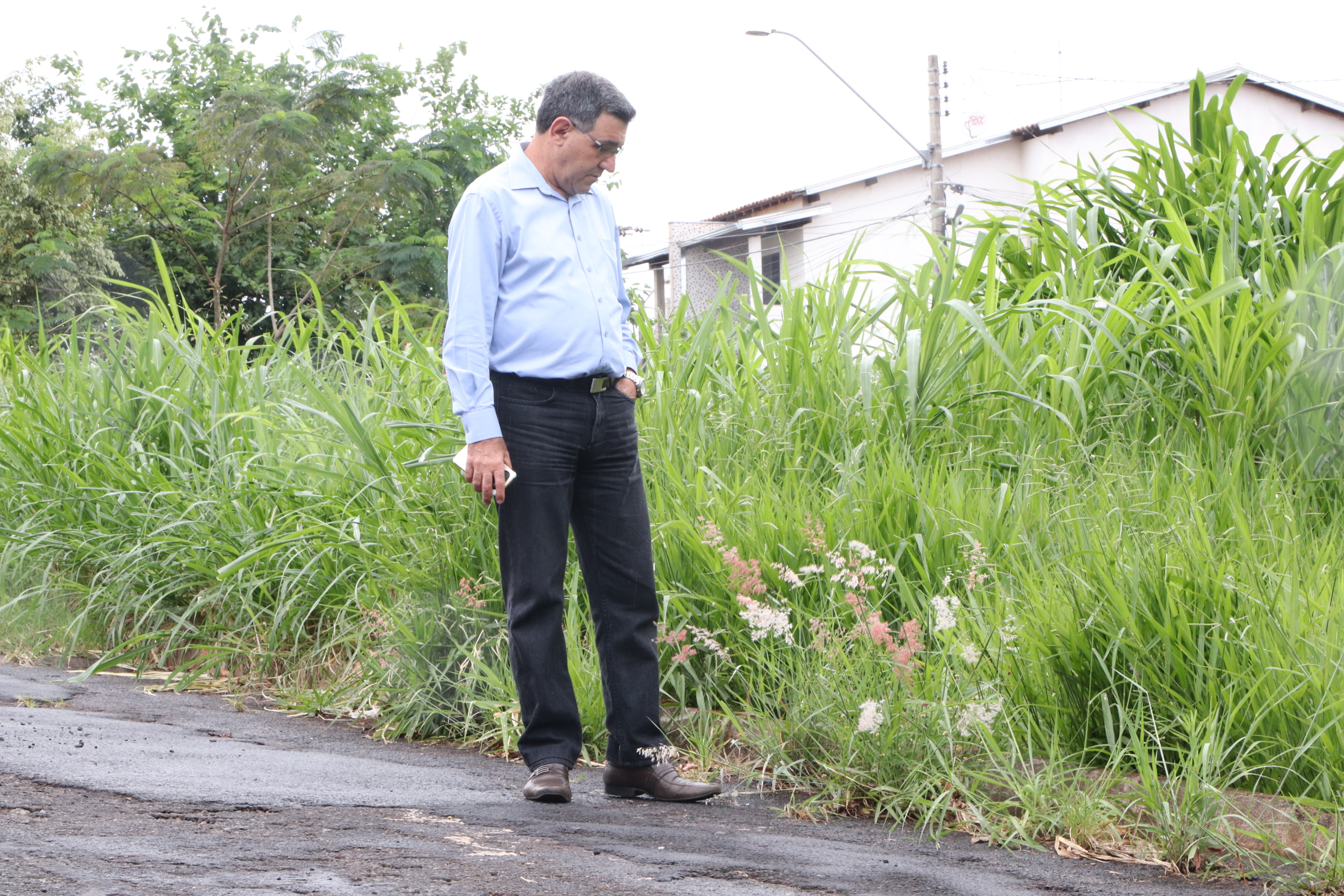 População sofre com mato alto e ruas esburacadas na Vila Melhado