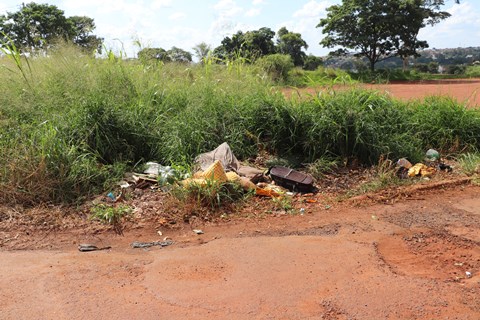 Bairros da Zona Sul necessitam de melhorias na zeladoria e no trânsito