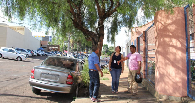 Árvores correm risco de cair no Jardim dos Manacás