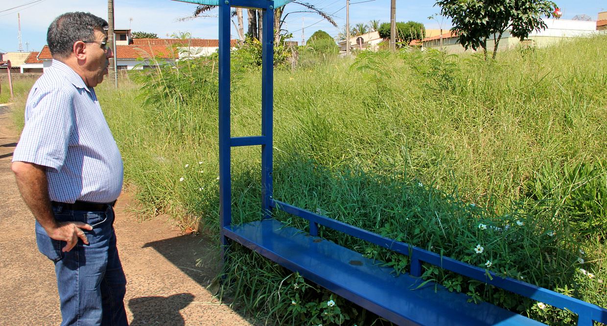 Ponto de ônibus coberto por mato oferece risco à população