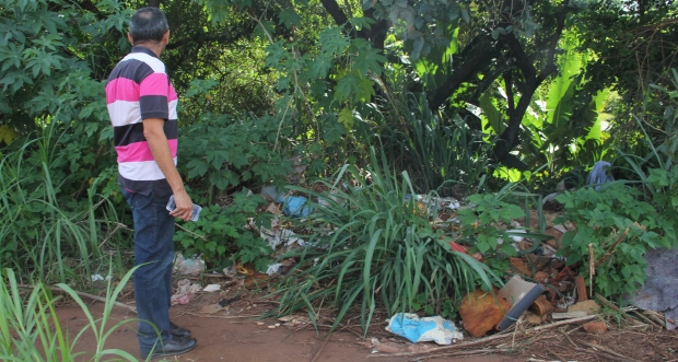 Vias com mato alto prejudicam trânsito e aumentam risco epidemiológico
