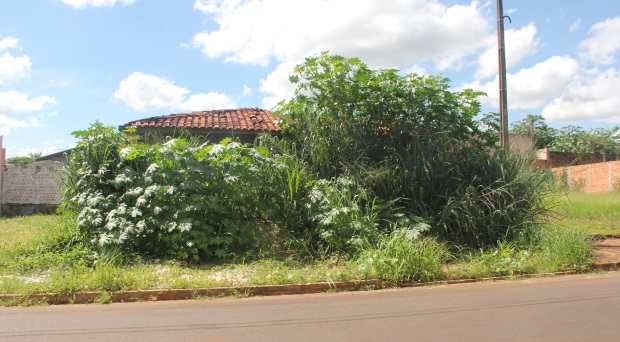Casa abandonada causa preocupação no Residencial Cambuy